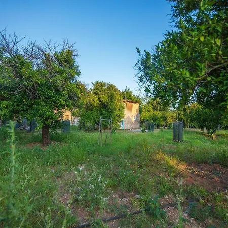 Case de vacanță Carob House