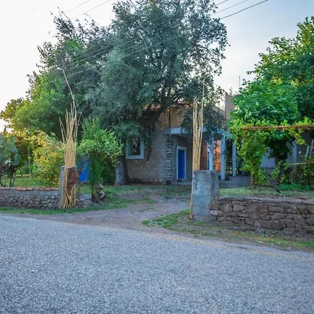 Case de vacanță Carob House